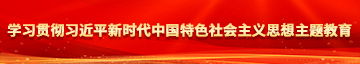 看片网页骚b学习贯彻习近平新时代中国特色社会主义思想主题教育